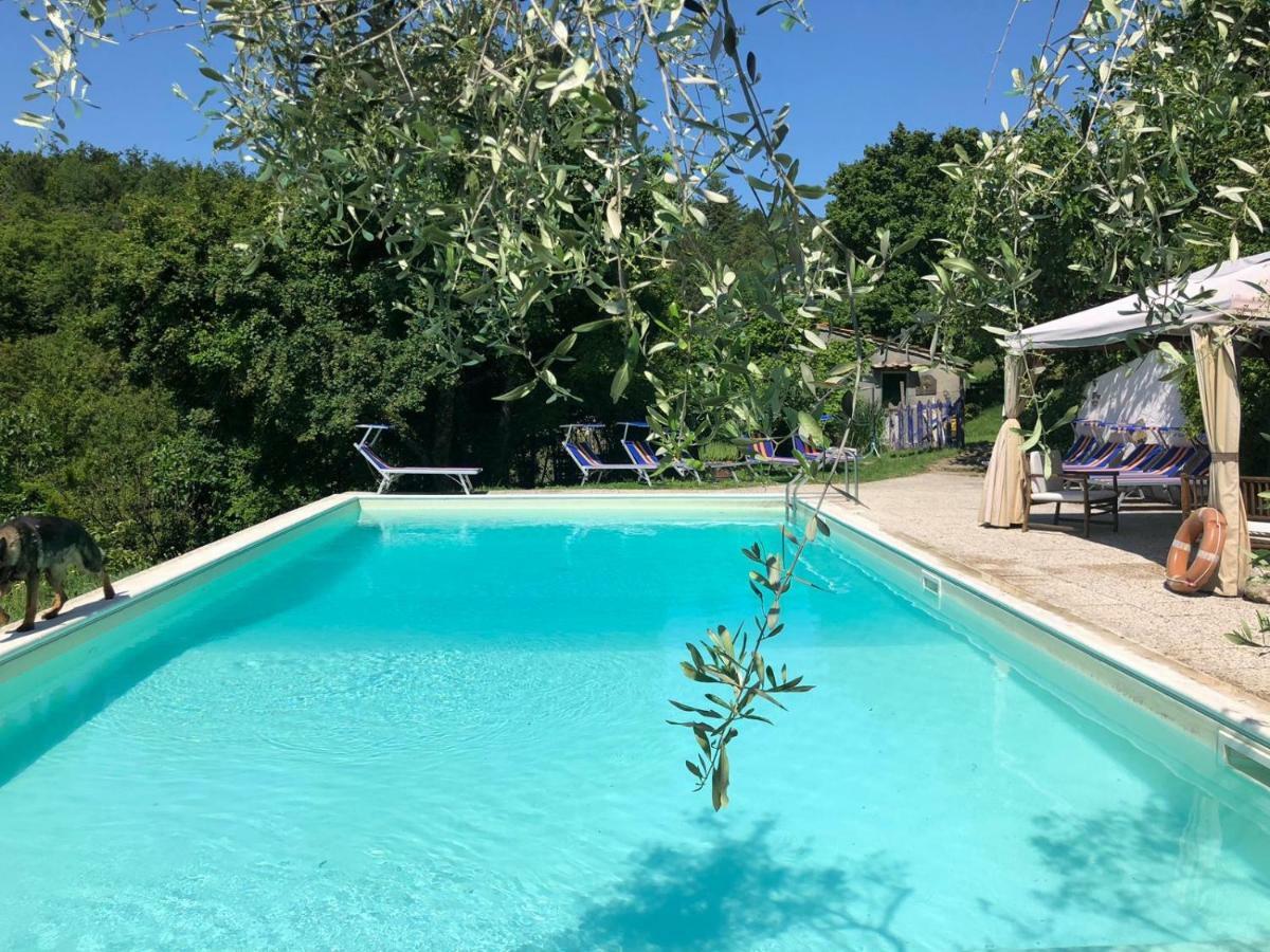 Ala Di Maniero In Agriturismo Valdrago In Toscana, Nel Verde Mugello Sulle Colline Di Firenze Борго-Сан-Лоренцо Екстер'єр фото